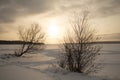 Frozen winter lake