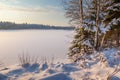 The frozen winter lake in wood under snow Royalty Free Stock Photo