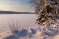 The frozen winter lake in wood under snow Royalty Free Stock Photo