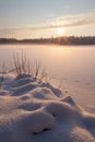 The frozen winter lake in wood under snow Royalty Free Stock Photo