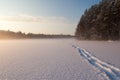 The frozen winter lake in wood under snow Royalty Free Stock Photo