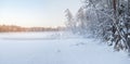 The frozen winter lake in wood under snow Royalty Free Stock Photo