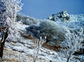 Frozen Winter Landscape Royalty Free Stock Photo