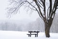 Frozen winter landscape with snow-covered bench