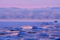 Frozen winter seascape Royalty Free Stock Photo