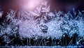 Frozen winter window. Window frozen glass, ice crystals. Snow frame. Beautiful Hoarfrost pattern, rime on black background