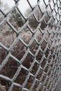 Frozen wire fence in winter Royalty Free Stock Photo