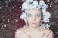 Frozen woman with tree hairstyle and makeup at Christmas, winter Royalty Free Stock Photo