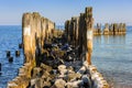 Frozen wooden breakwaters line at Baltic Sea