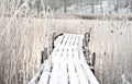 Frozen wooden bridge