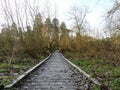 Frozen wooden pathway leading to bridge over the River Chess, Chorleywood