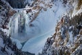 Frozen Yellowstone Canyon Waterfall, frozen in winter Royalty Free Stock Photo