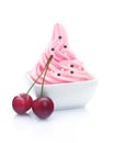 Frozen Yoghurt Dessert with a pair of cherries