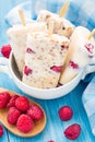 Frozen yogurt with oats and raspberries Royalty Free Stock Photo