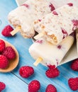 Frozen yogurt with oats and raspberries Royalty Free Stock Photo