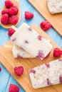 Frozen yogurt with oats and raspberries Royalty Free Stock Photo