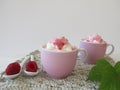 Frozen yogurt raspberry ice cream