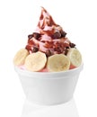 Frozen Yogurt Royalty Free Stock Photo