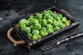 Frozen young Brussels sprouts green cabbage in wooden tray. Black background. Top view