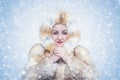 Frozen young woman in a fox fur coat, cold, snow, frost, blizzard Royalty Free Stock Photo