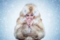 Frozen young woman in a fox fur coat warming hands, cold, snow, frost, blizzard Royalty Free Stock Photo