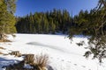 Frozen Zminje jezero on a sunny winter`s day, National Park Durmitor, Zabljak Royalty Free Stock Photo