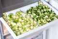 Frozen zucchini cubes in the freezer. Frozen Food Concept