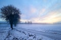 Frozy morning landscape Royalty Free Stock Photo
