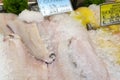 Frsh cod fillets Royalty Free Stock Photo