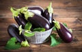 Frsh organic eggplant