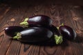 Frsh organic eggplant on the wooden boards