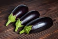 Frsh organic eggplant on the wooden boards