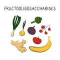 Fructooligosaccharides-containing food. Groups of healthy products containing vitamins and minerals. Set of fruits