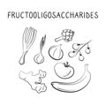 Fructooligosaccharides-containing food. Groups of healthy products containing vitamins and minerals. Set of fruits