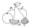 Fruit. Apples, pears, garnet. Still life with different fruits, black outlines for kids coloring. Vector black and white