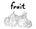 Fruit apples pears and lemon still life. doodle Royalty Free Stock Photo