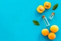 Fruit aroma oil. Apricot kernel oil on blue background top view frame copy space Royalty Free Stock Photo