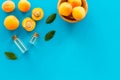 Fruit aroma oil. Apricot kernel oil on blue background top view frame space for text Royalty Free Stock Photo