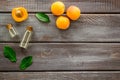 Fruit aroma oil. Apricot kernel oil on dark wooden background top view frame copy space Royalty Free Stock Photo