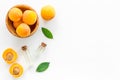 Fruit aroma oil. Apricot kernel oil on white background top view frame copy space Royalty Free Stock Photo