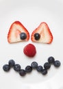 Fruit Face Plate Royalty Free Stock Photo