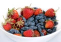 Fruit assorted platter with lot ripe appetizing strawberry and honeysuckle isolated ob white background studio shot close up Royalty Free Stock Photo