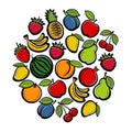 Fruit background. Collection of fruits. Vector