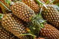 Fruit Background. Organic Pineapples At Market. Nutrition. Healthy Diet Food. Royalty Free Stock Photo