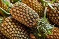 Fruit Background. Organic Pineapples At Market. Nutrition. Healthy Diet Food. Royalty Free Stock Photo