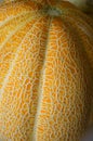 Ripe yellow melon close up, texture pattern of the rind Royalty Free Stock Photo