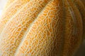 Ripe yellow melon close up, texture pattern of the rind Royalty Free Stock Photo