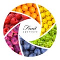 Fruit backgrounds