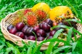 Fruit in bamboo basket Royalty Free Stock Photo