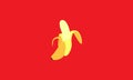 Fruit banana opened colorful logo design vector icon symbol illustration
